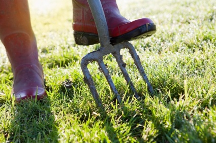 Wellies
